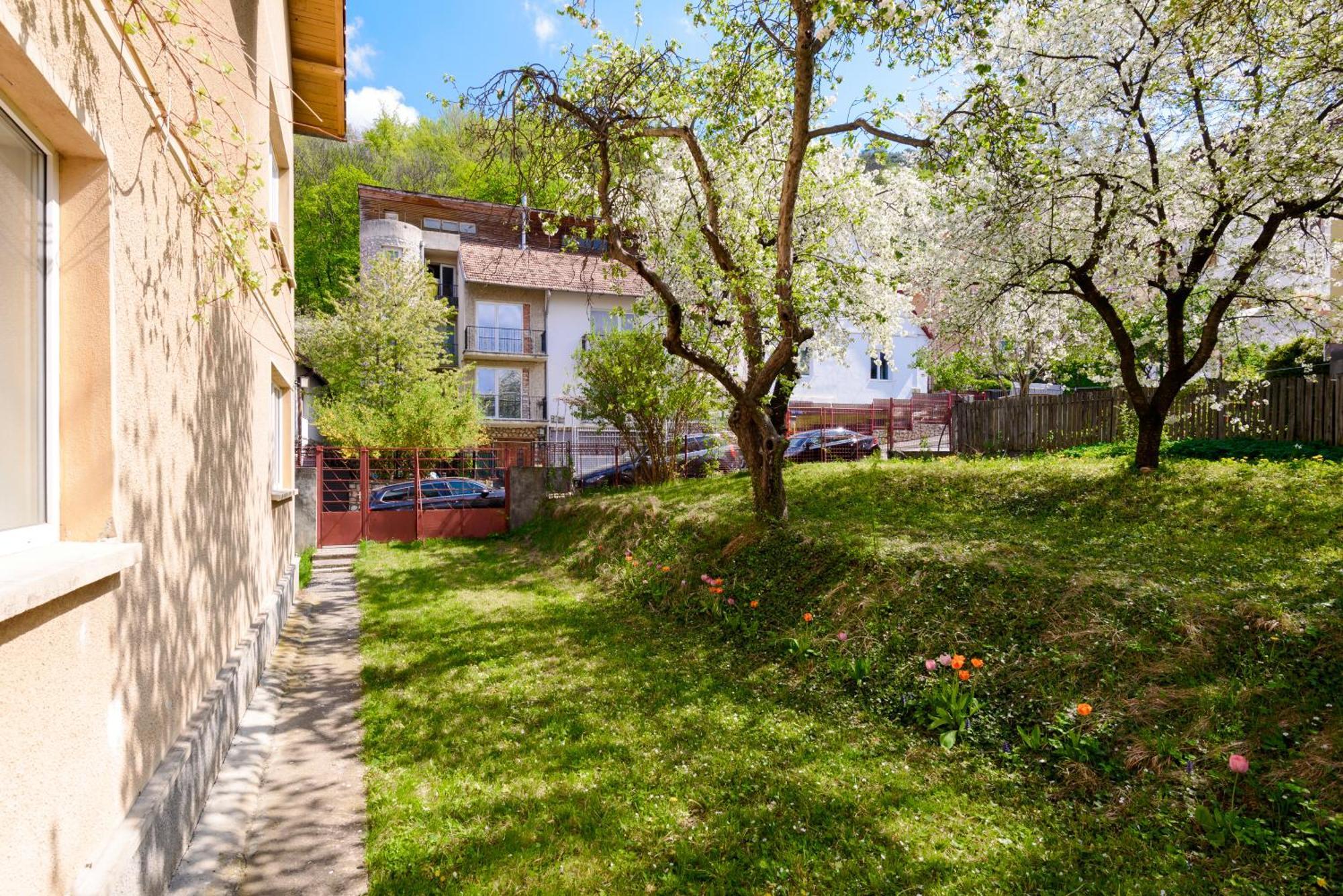 Appartement Casa Cu Cires Braşov Extérieur photo