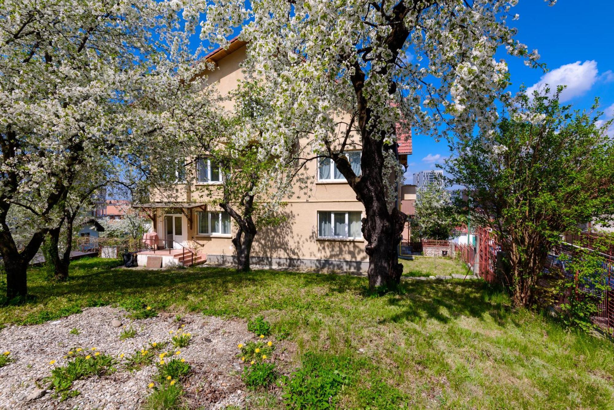 Appartement Casa Cu Cires Braşov Extérieur photo